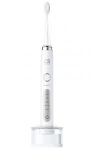 CS-333-WT